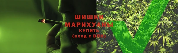 ГАЛЛЮЦИНОГЕННЫЕ ГРИБЫ Арсеньев