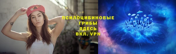соль курить ск Пестово