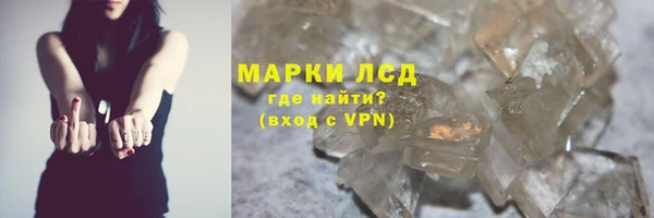 шишки Пересвет