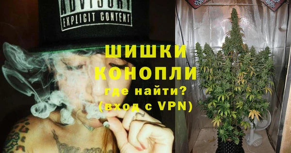 ГАЛЛЮЦИНОГЕННЫЕ ГРИБЫ Арсеньев