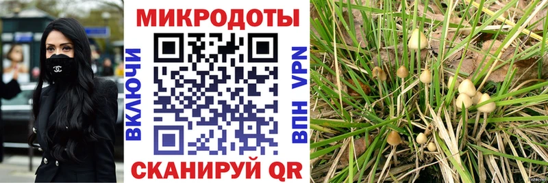 Галлюциногенные грибы Psilocybine cubensis  как найти   Белинский 
